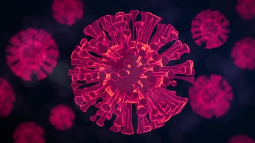 Animation of glowing pink 3d macro coronavirus Covid-19 cells spreading on dark background.