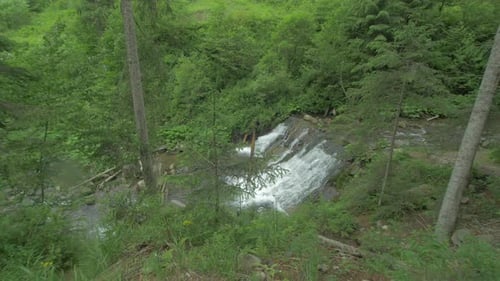 Cascade dans une forêt