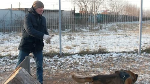 A Dog Jumping Over the Barrier After the Stick