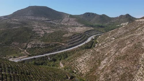 Terrain boisé en bordure de route