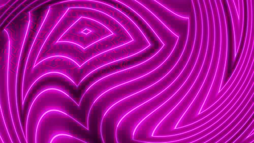 Glowing Pink Abstract Wavy Lines Looping Background