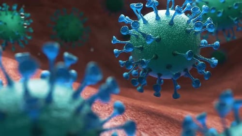 Microscopic Viruses Floating in Human Body Animation