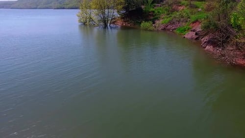 Lakeside And Forest Drone View 2