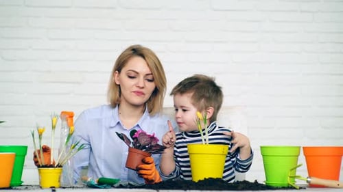 Woman and Child Planting Flowers Together at Home