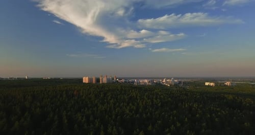 Fliegende Drohne über einem Kiefernwald bei Sonnenuntergang, klarer blauer Himmel vor dem Hintergrund der Stadt