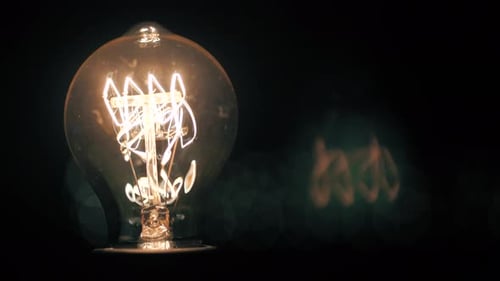 Bulb