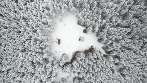 Captura aérea desde arriba de una cabaña de montaña en medio de un bosque