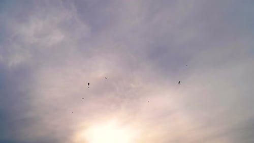 Fallschirm
