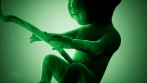 Animation médicale 3D d'un foetus humain