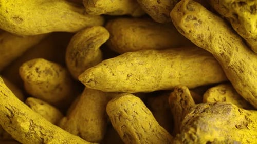 Turmeric Curcuma Yellow Dried Roots Background