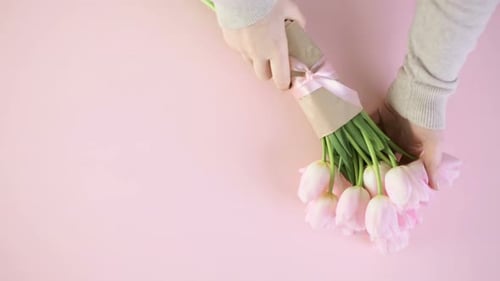 Hands Arranging Bouquet of Pink Tulips on Pink