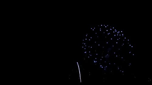 Fireworks 319