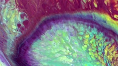 Abstract Fluid Art: Swirling Colors in Motion