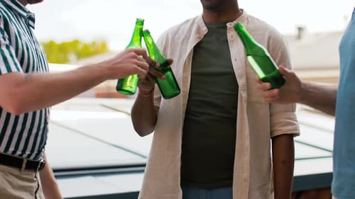 Friends Toasting with Beer at a Casual Gathering