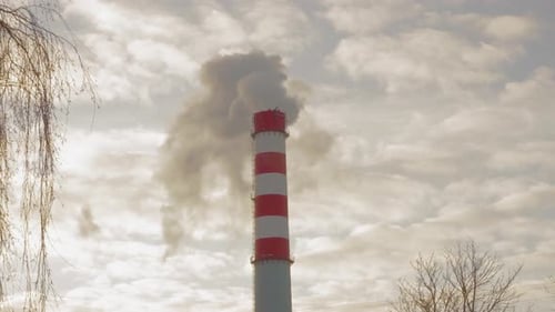 Rauch kommt aus einem industriellen Schornstein vor dem Hintergrund eines bewölkten Himmels und von Ästen