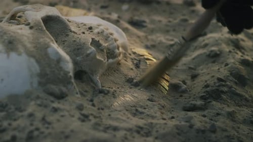 Anonymous Archaeologist Excavating Human Skull and Necklace