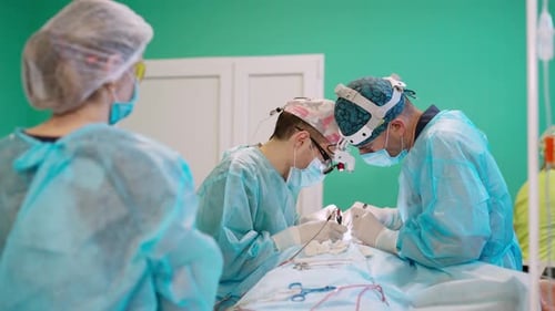 Doctors and assistant in medical uniform performing an operation to a patient