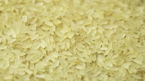 Yellowish Steamed Rice Spins As a Backdrop in a Japanese Restaurant