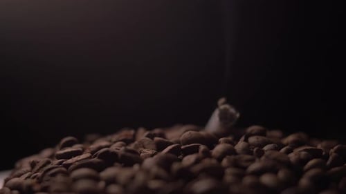 Smoking Cigarette Amongst Coffee Beans Close Up