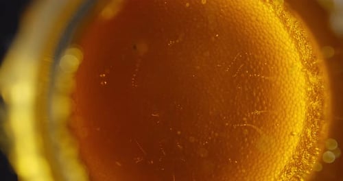 Der Schaum löst sich auf der Oberfläche des Bierglases auf, Ansicht von unten