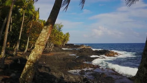 Coastline of Hawaii