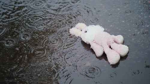 Stuffed Bunny Toy in Puddle During Rain