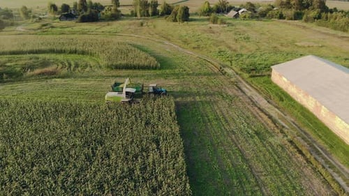 Combine and Tractor Harvesting Corn in Field