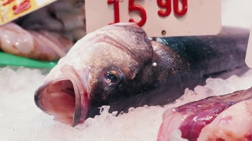Nahaufnahme von Fischen, die auf einem Fischmarkt ausgestellt sind