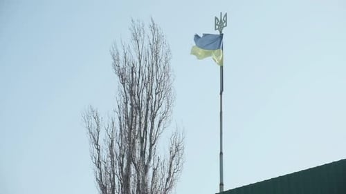 Ukrainian Flag Waving in the Breeze