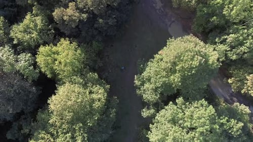 Aerial View of Forest with Person Resting
