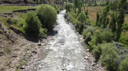 Natur am Fluss