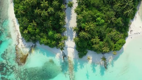 Aerial drone shot texture of tranquil resort beach wildlife by clear sea with white sandy background