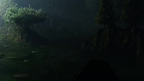 17 - Night Scenery In Wild Mountain Forests - Beautiful Scenery