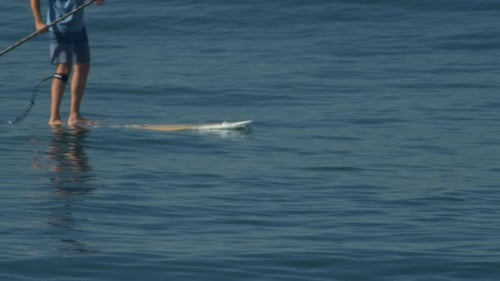 SUP stand-up paddleboarding