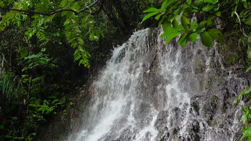 Tropical Waterfall Cascading in Lush Green Nature