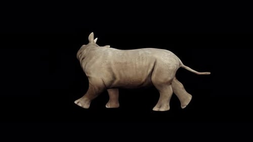 Realistic 3D Rhinoceros Walking Animation Loop
