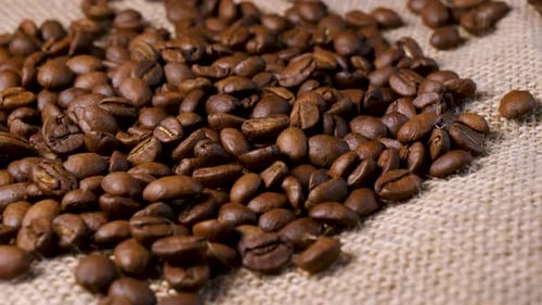 Roasted Coffee Beans Piling on Burlap Surface