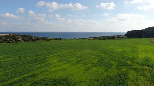 Die Kamera bewegt sich vorwärts entlang Green Meadow zum wunderschönen blauen Mittelmeer unter sonnigem Himmel. Breit