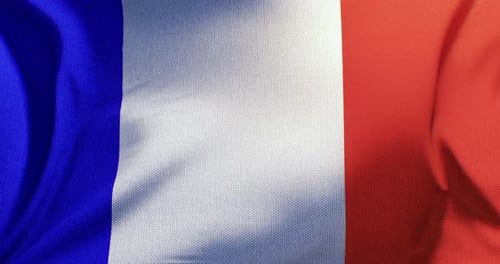 Realistic French Flag Waving Seamless Loop Background