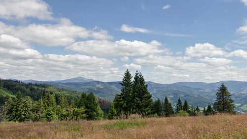 Clouds Moving over Forest Country in Sunny Day in Carpathian Mountains Nature