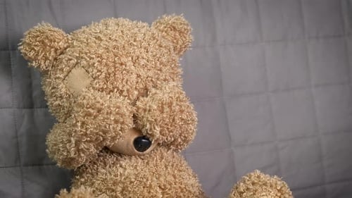 Abandoned Toy in Bed