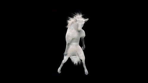 White Horse Dancing Alpha Channel Animation