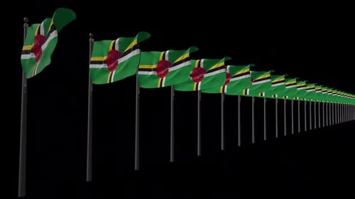 Dominica National Flag Line Waving Animation
