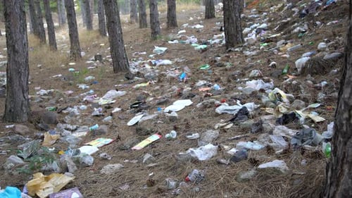 Nature Pollution With Wastes