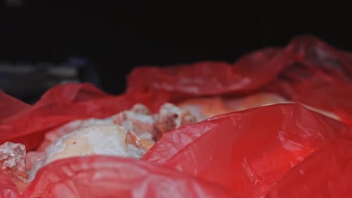 Le travailleur met la boîte de viande congelée dans le coffre de la voiture