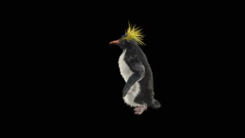 Penguin Dancing HD