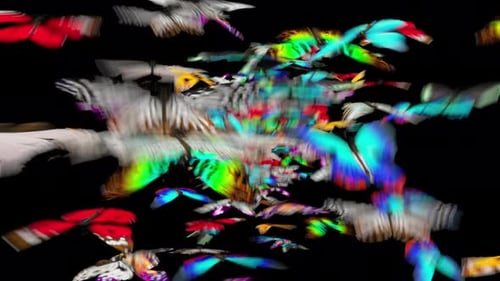 Schmetterling 4K