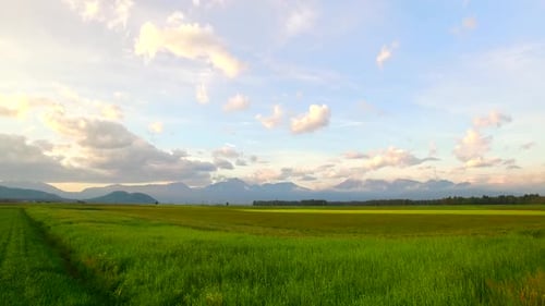 Lush Green Field With Distant Mountains at Sunset