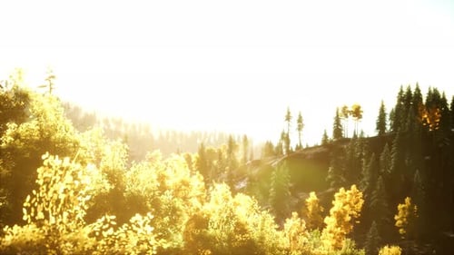 Coucher de soleil radieux dans les montagnes avec la forêt