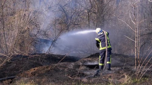 Firefighter in Equipment Extinguish Forest Fire with Fire Hose. Wood, Spring Day